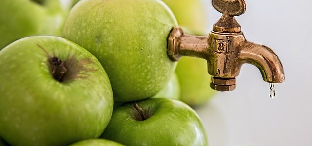Use Apple Cider Vinegar to be Rid of Fleas